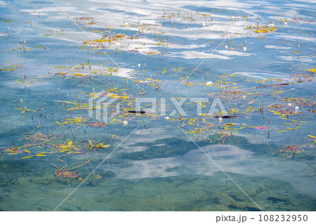 景色 風景 海 108232950