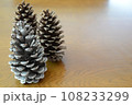 大きな松ぼっくりのデコレーション 108233299