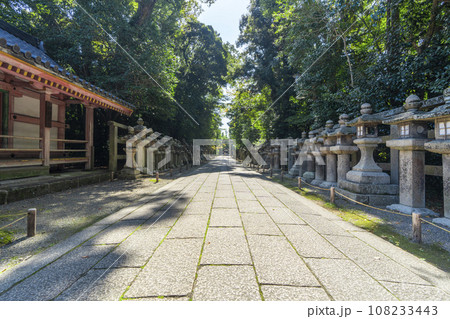 石清水八幡宮　三ノ鳥居からまっすぐに伸びる石畳の参道（京都府八幡市） 108233443