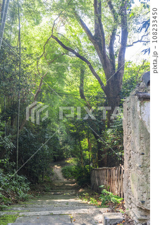 石清水八幡宮　表参道 108233450