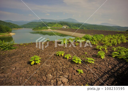 七北田ダムの堤体とダム湖 108233595