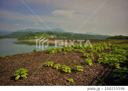七北田ダムの堤体とダム湖 108233596