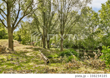 some trees and grass in the middle of a park with fallen leaves on the ground stock photo - 1230896 108234185