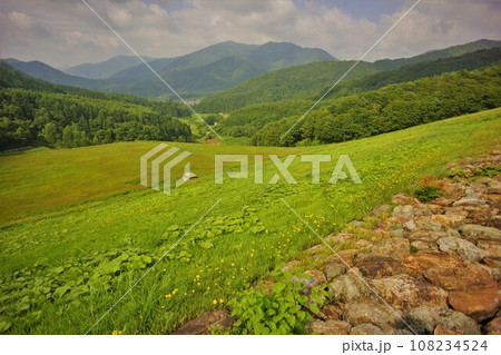 大内ダムの堤体 108234524