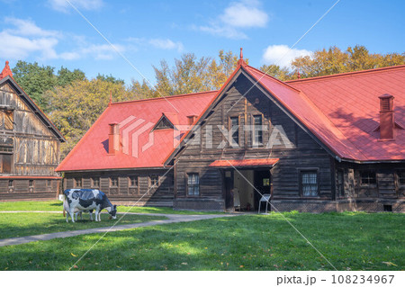 北海道大学の紅葉 108234967
