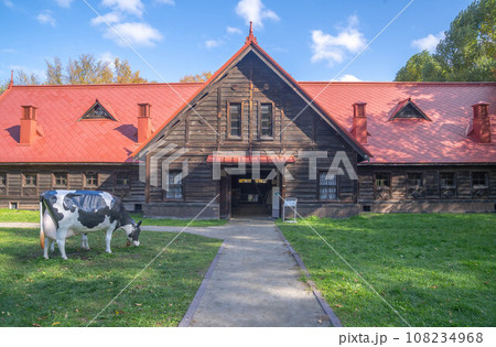 北海道大学の紅葉 108234968