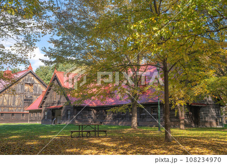 北海道大学の紅葉 108234970