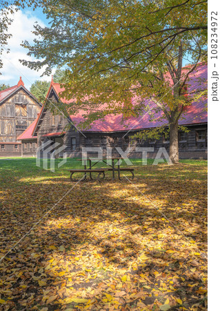 北海道大学の紅葉 108234972