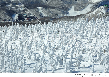 山形蔵王スキー場 ザンゲ坂からの樹氷原眺望 山形蔵王スキー場 ザンゲ坂からの樹氷原眺望 108234985