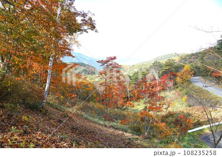 志賀高原・かんまん滝展望台入口の紅葉の風景 108235258