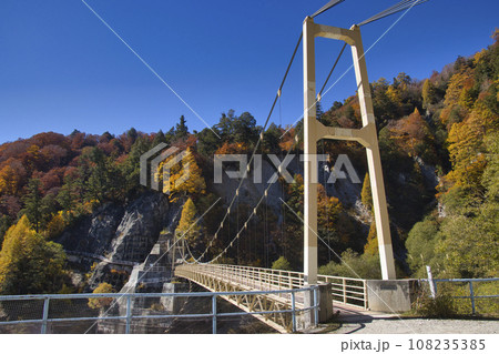 黒部ダム(黒四) カンパ谷のつり橋と美しい紅葉 富山県立山町 黒部ダム(黒四) カンパ谷のつり橋と美しい紅葉 富山県立山町 108235385