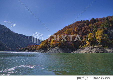 黒部ダム（黒四）　遊覧船ガルベから見る美しい紅葉　富山県立山町 108235399