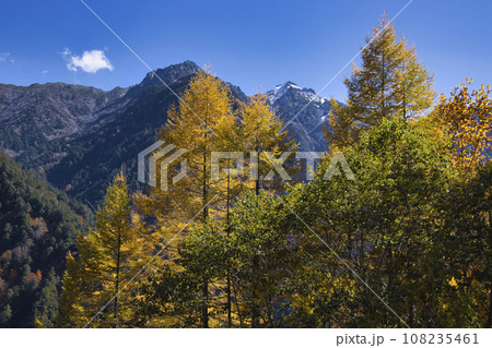黒部ダム（黒四）　湖畔遊歩道からのスバリ岳・針ノ木岳と紅葉の眺め　富山県立山町 108235461