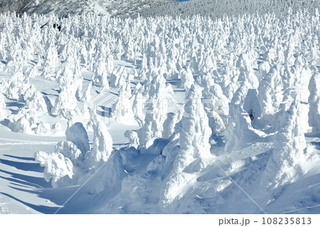 山形蔵王スキー場 地蔵山頂から望む樹氷原の絶景 山形蔵王スキー場 地蔵山頂から望む樹氷原の絶景 108235813