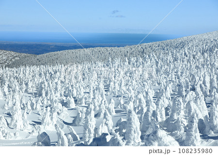 山形蔵王スキー場　ゴンドラ駅地蔵山頂から望む樹氷原の絶景 108235980