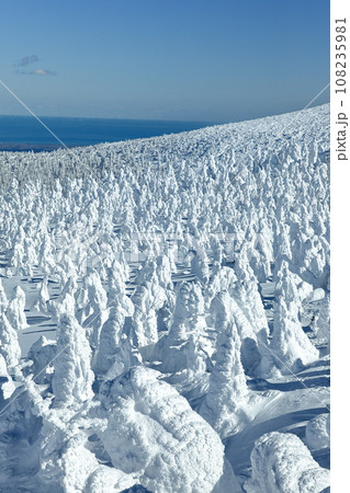 山形蔵王スキー場　ゴンドラ駅地蔵山頂から望む樹氷原の絶景 108235981