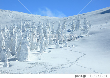 山形蔵王スキー場 ゴンドラ駅地蔵山頂から望む樹氷原の絶景 山形蔵王スキー場 ゴンドラ駅地蔵山頂から望む樹氷原の絶景 108235984