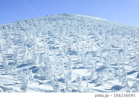 山形蔵王スキー場　ゴンドラ駅地蔵山頂から望む樹氷原の絶景 108236095