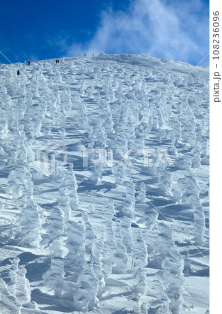 山形蔵王スキー場　ゴンドラ駅地蔵山頂から望む樹氷原の絶景 108236096