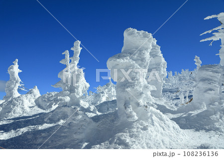 山形蔵王スキー場　ゴンドラ駅地蔵山頂のモンスター樹氷 108236136