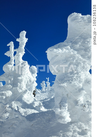 山形蔵王スキー場 ゴンドラ駅地蔵山頂のモンスター樹氷 山形蔵王スキー場 ゴンドラ駅地蔵山頂のモンスター樹氷 108236138