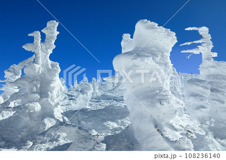 山形蔵王スキー場　ゴンドラ駅地蔵山頂のモンスター樹氷 108236140