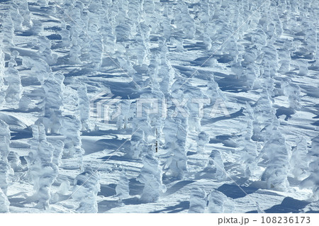 山形蔵王スキー場 ゴンドラ駅地蔵山頂から望む樹氷原の絶景 山形蔵王スキー場 ゴンドラ駅地蔵山頂から望む樹氷原の絶景 108236173