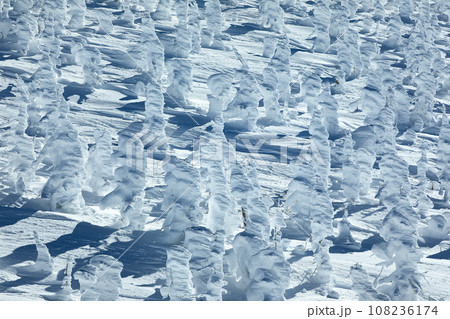 山形蔵王スキー場 ゴンドラ駅地蔵山頂から望む樹氷原の絶景 山形蔵王スキー場 ゴンドラ駅地蔵山頂から望む樹氷原の絶景 108236174
