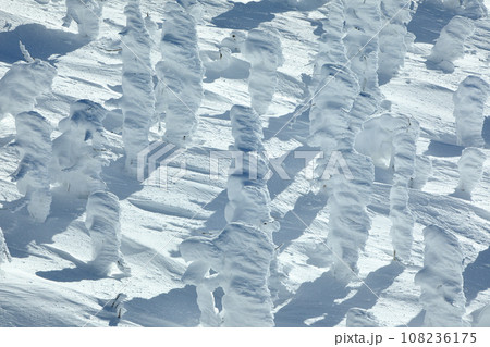 山形蔵王スキー場　ゴンドラ駅地蔵山頂から望む樹氷原の絶景 108236175