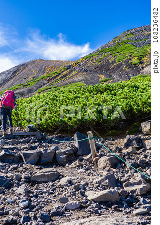 長野県の乗鞍岳の観光登山 剣ヶ峰を登る登山者 長野県の乗鞍岳の観光登山 剣ヶ峰を登る登山者 108236482