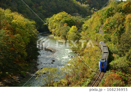 紅葉の白滝発祥の地を走るキハ283系特急列車 108236955