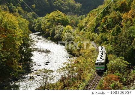 紅葉の白滝発祥の地を走るキハ40系普通列車 108236957