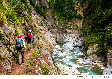 黒部の奥深く、新緑の中を行く登山者 108237141