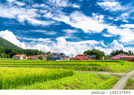 《福島県》田舎の風景・夏の猪苗代 108237405