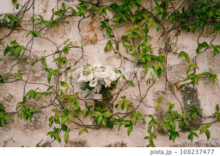 Bride bouquet on the stone wall of an old house entwined with green ivy 108237477