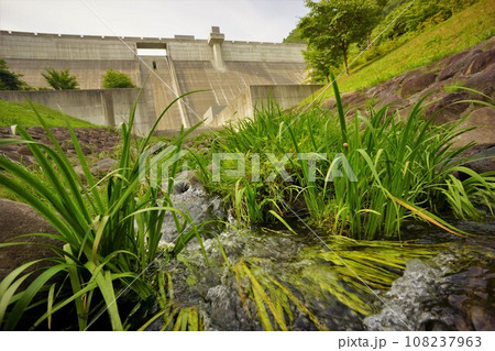 下流からの綾里川ダムの堤体 下流からの綾里川ダムの堤体 108237963