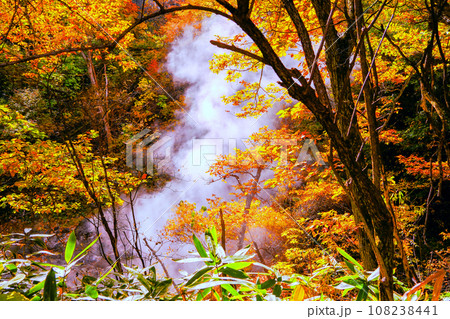黄葉と源泉1 108238441