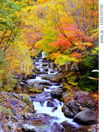 紅葉の渓流(縦) 紅葉の渓流(縦) 108238798