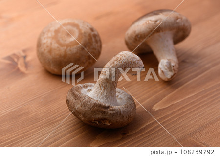 秋の味覚 栄養たっぷりの生しいたけ きのこ類 食物繊維が豊富な生椎茸 (木目バック) 秋の味覚 栄養たっぷりの生しいたけ きのこ類 食物繊維が豊富な生椎茸 (木目バック) 108239792