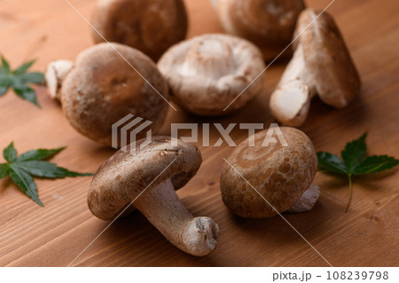 秋の味覚 栄養たっぷりの生しいたけ きのこ類 食物繊維が豊富な生椎茸 （木目バック） 108239798