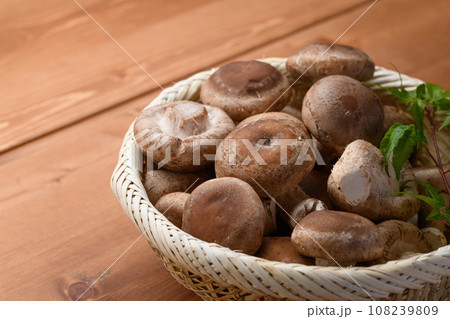 秋の味覚 栄養たっぷりの生しいたけ きのこ類 食物繊維が豊富な生椎茸 （木目バック） 108239809