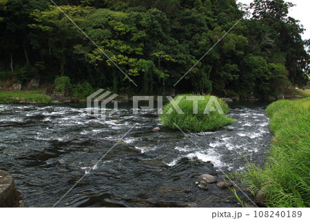 水郷日田の三隈川沿いの風景　亀山公園 108240189