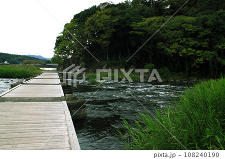 水郷日田の三隈川沿いの風景 亀山公園 水郷日田の三隈川沿いの風景 亀山公園 108240190