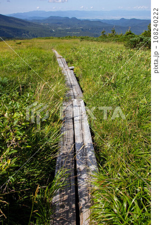 夏の八甲田毛無岱の登山道 夏の八甲田毛無岱の登山道 108240222