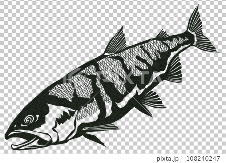 鮭の白黒イラスト 108240247
