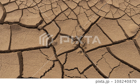 The wolf's tracks were frozen in orange mud, clay 108240870