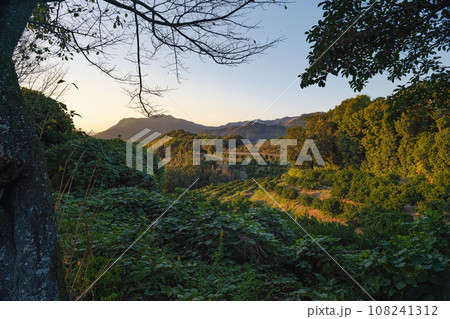熊本 夕暮れの田原坂公園 108241312