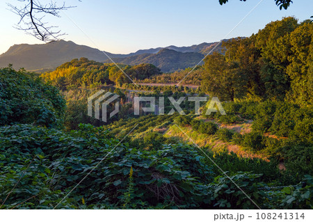 熊本 夕暮れの田原坂公園 熊本 夕暮れの田原坂公園 108241314