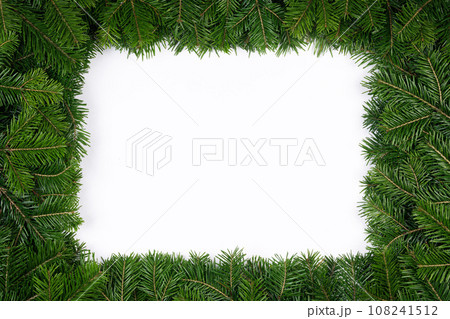 Fir tree branch frame on white Fir tree branch frame on white 108241512