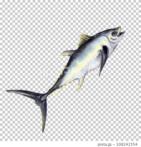tuna fish watercolor 108241554